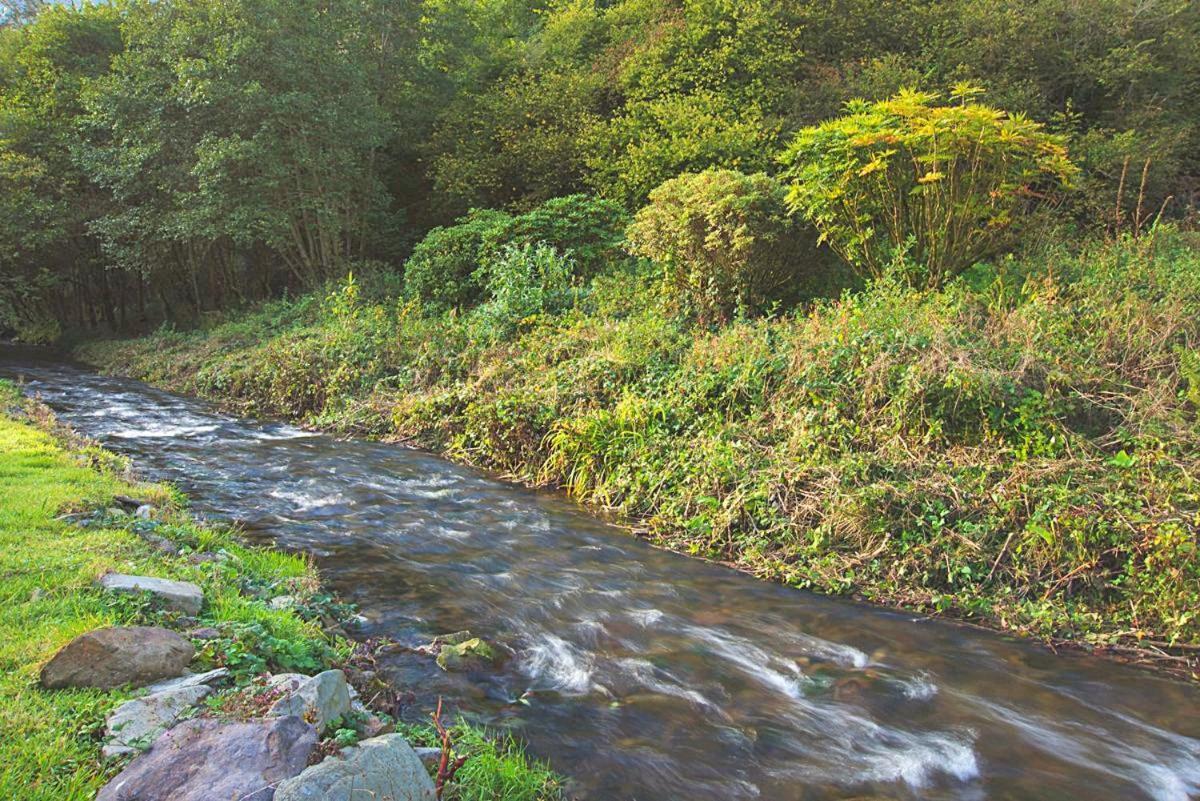 Bratton Mill Farmhouse Bratton Fleming Bagian luar foto